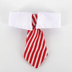 Red and white stripes / L