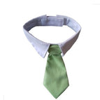 Tender green / L