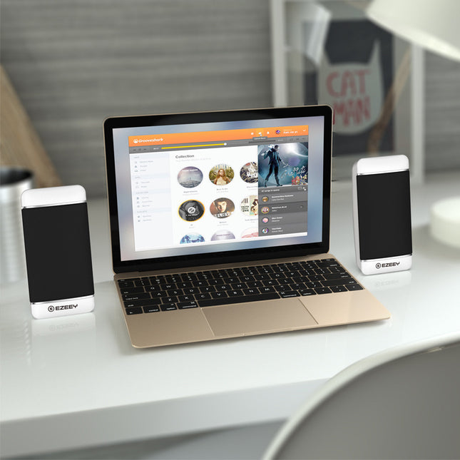 Mini Laptop Speakers