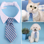 Blue and gray stripes / L