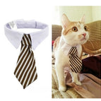 Brown and white stripes / L