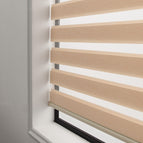 Sweet apricot / One square meter