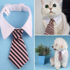 Pink stripes / L