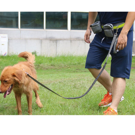 Adjustable Hands-Free Dog Leash_7