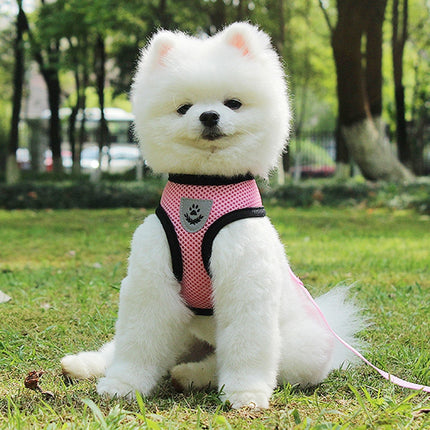 Adjustable Pet Car Seat Belt &amp; Safety Leash_1