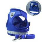 BlueA / L