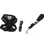 Black 2 / L