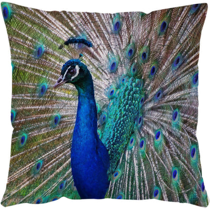 Sea Turtle Decorative Throw Pillow Cover_17