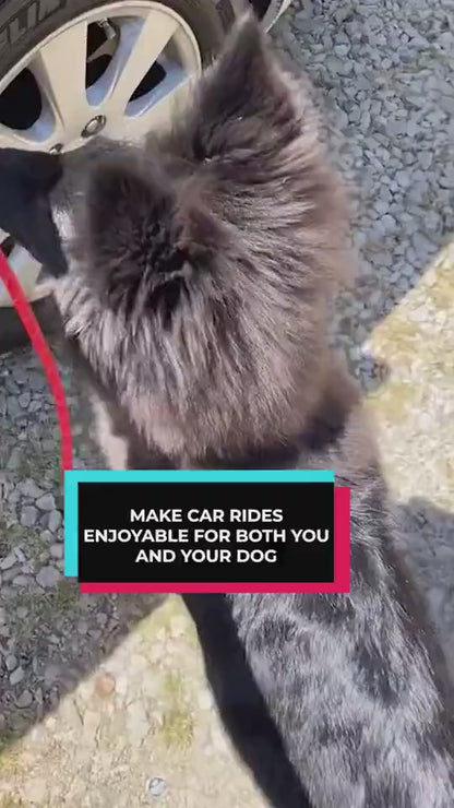 1.mp4